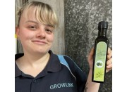 LIME INFUSED EXTRA VIRGIN OLIVE OIL COLD PRESSED NOT BIODYNAMIC CERTIFIED 250 ml From Viridis Grove Katikati LIME INFUSED EXTRA VIRGIN OLIVE OIL COLD PRESSED NOT BIODYNAMIC CERTIFIED 250 ml From Viridis Grove Katikati